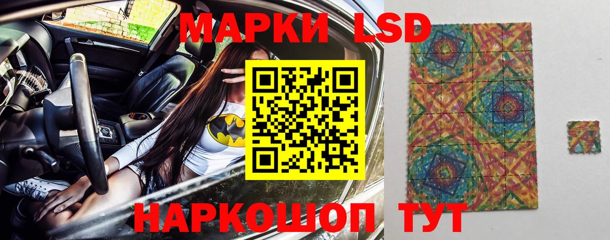 Новозыбков  где купить наркоту  Вход с VPN  Марки N-bome 1500мкг  Марки N-bome 
