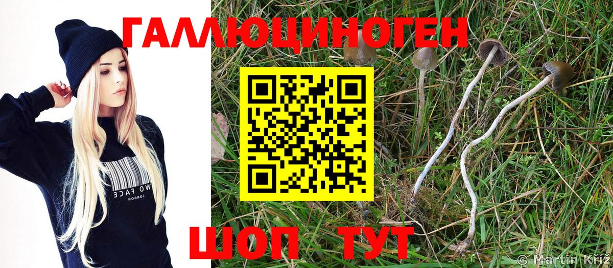 Галлюциногенные грибы GOLDEN TEACHER Новозыбков
